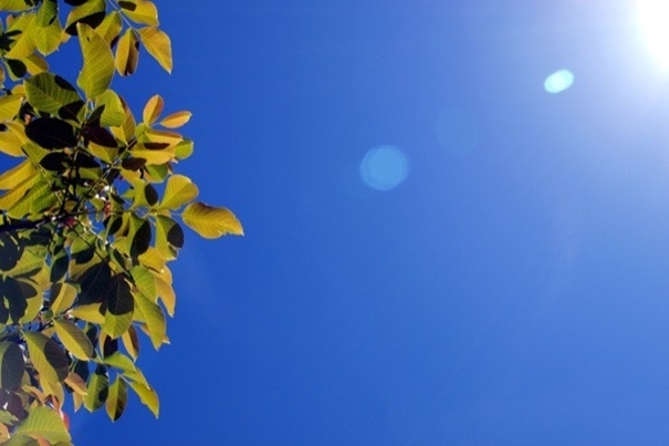 30 Prozent mehr Ertrag dank Nachrüstung mit SolarEdge Leistungsoptimierern