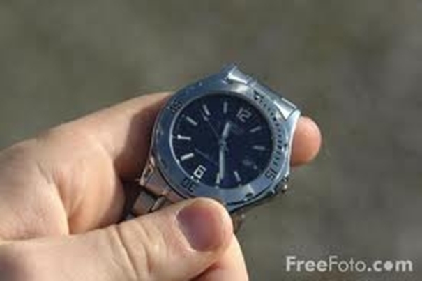 Neue Seiko Prospex Modelle vorgestellt