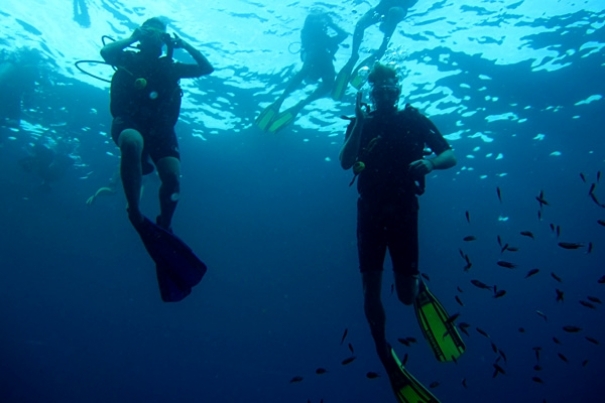 Tauchen auf Koh Tao in Thailand