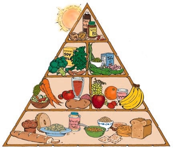 Ernährungspyramide - Die Deutschen essen sich krank