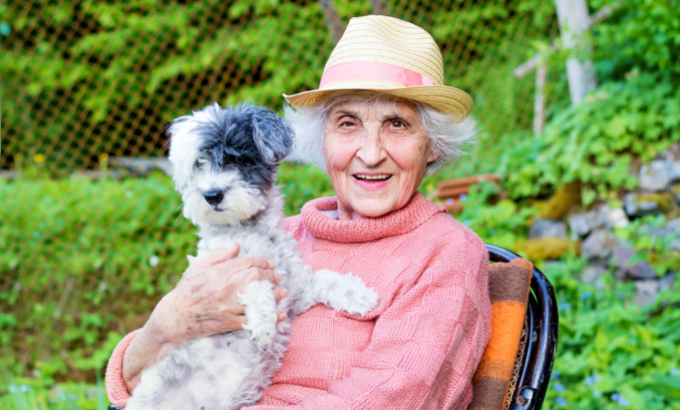 Ein Hund – der beste Freund eines Senioren?