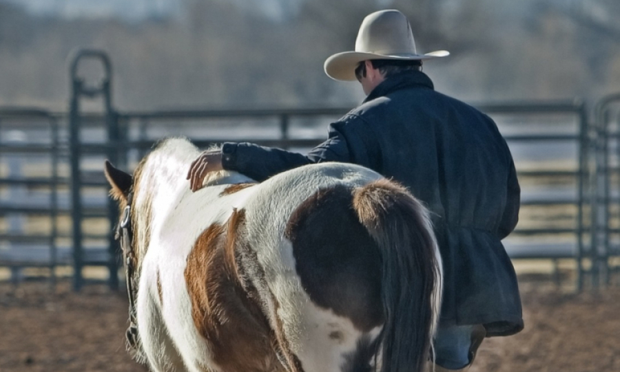 Vom Präriestaub zur Popkultur: Der Cowboyhut als Symbol des amerikanischen Westens